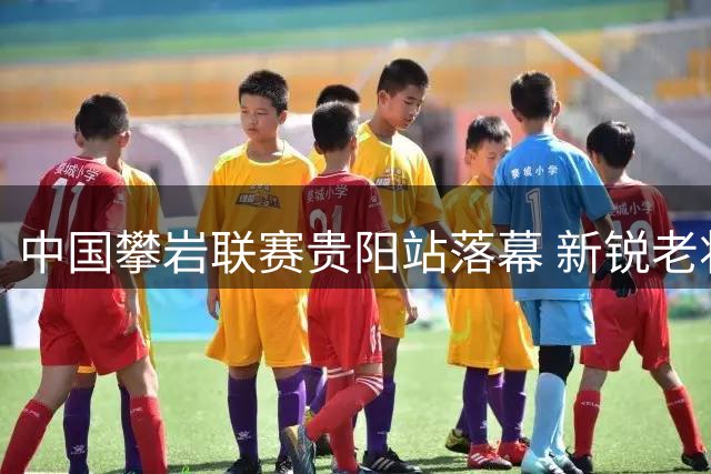 中国攀岩联赛贵阳站落幕 新锐老将双双刷新速度纪录